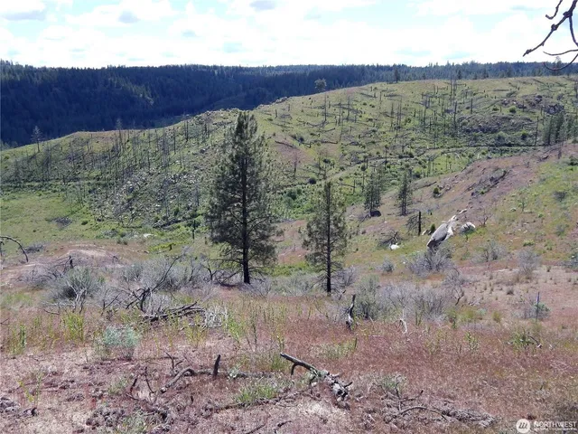 $119,000 | 2 Hart Road, Davenport, WA 99122