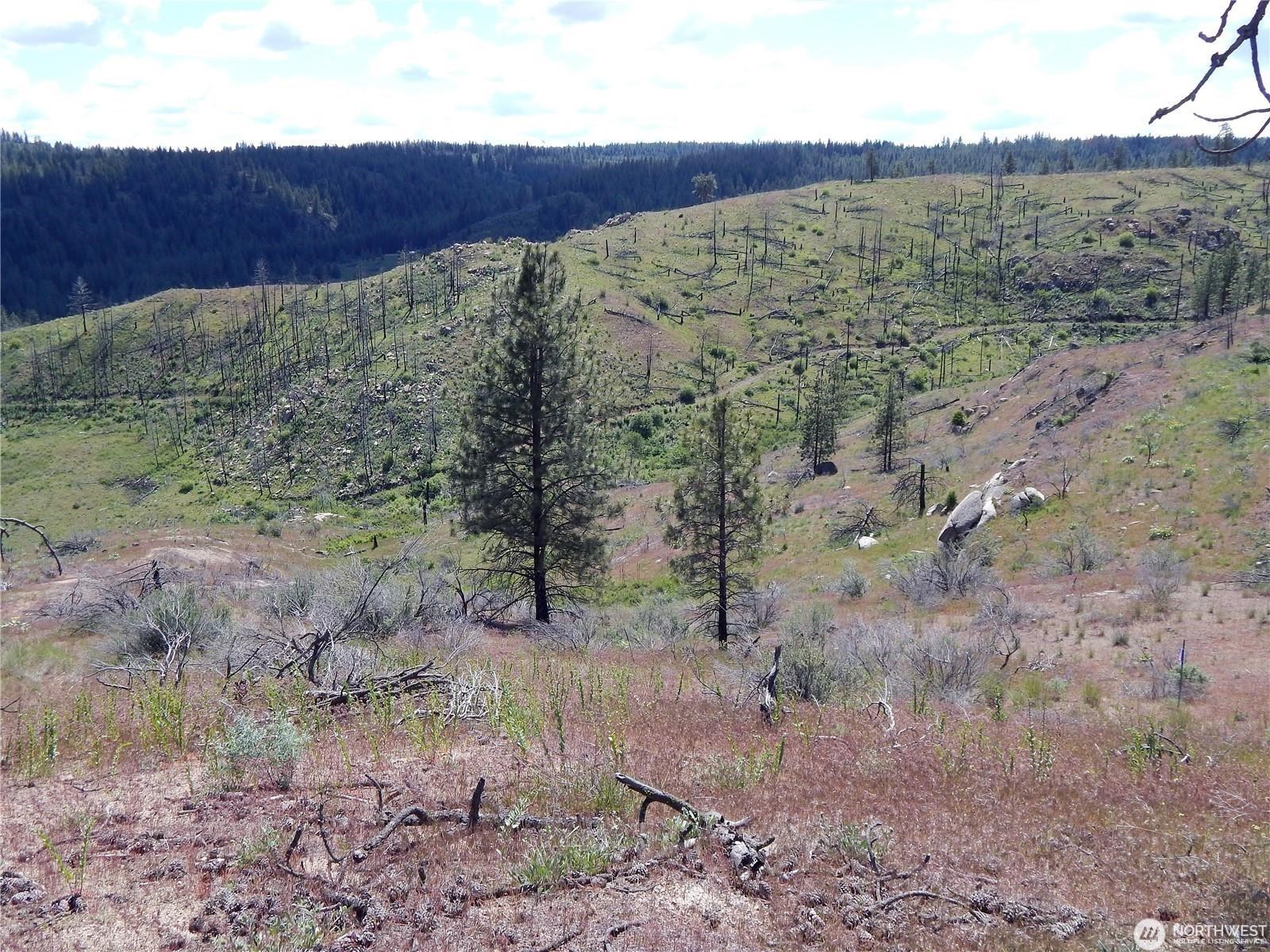 2 Hart Road Davenport, WA 99122 - Photo 22 of 25