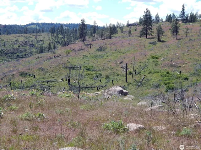 $119,000 | 2 Hart Road, Davenport, WA 99122