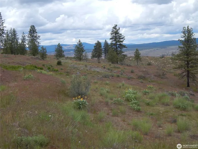 $119,000 | 2 Hart Road, Davenport, WA 99122