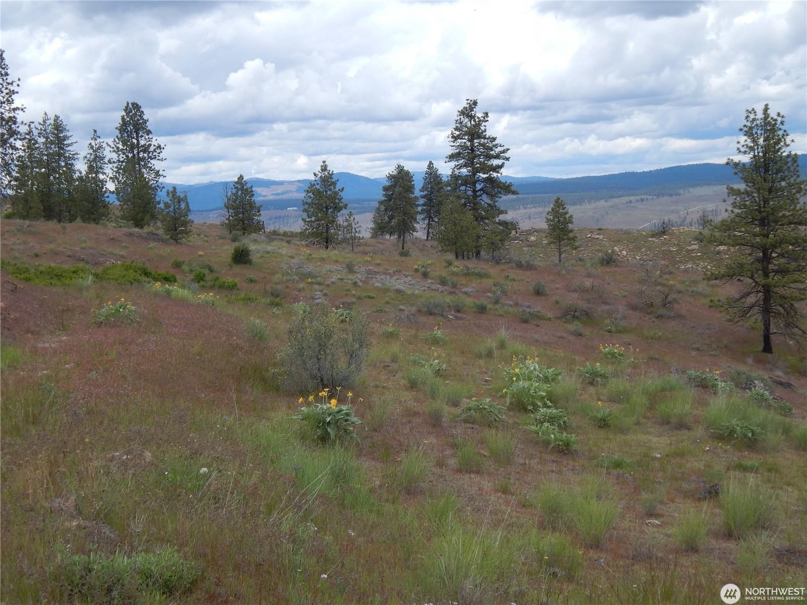 2 Hart Road Davenport, WA 99122 - Photo 4 of 25