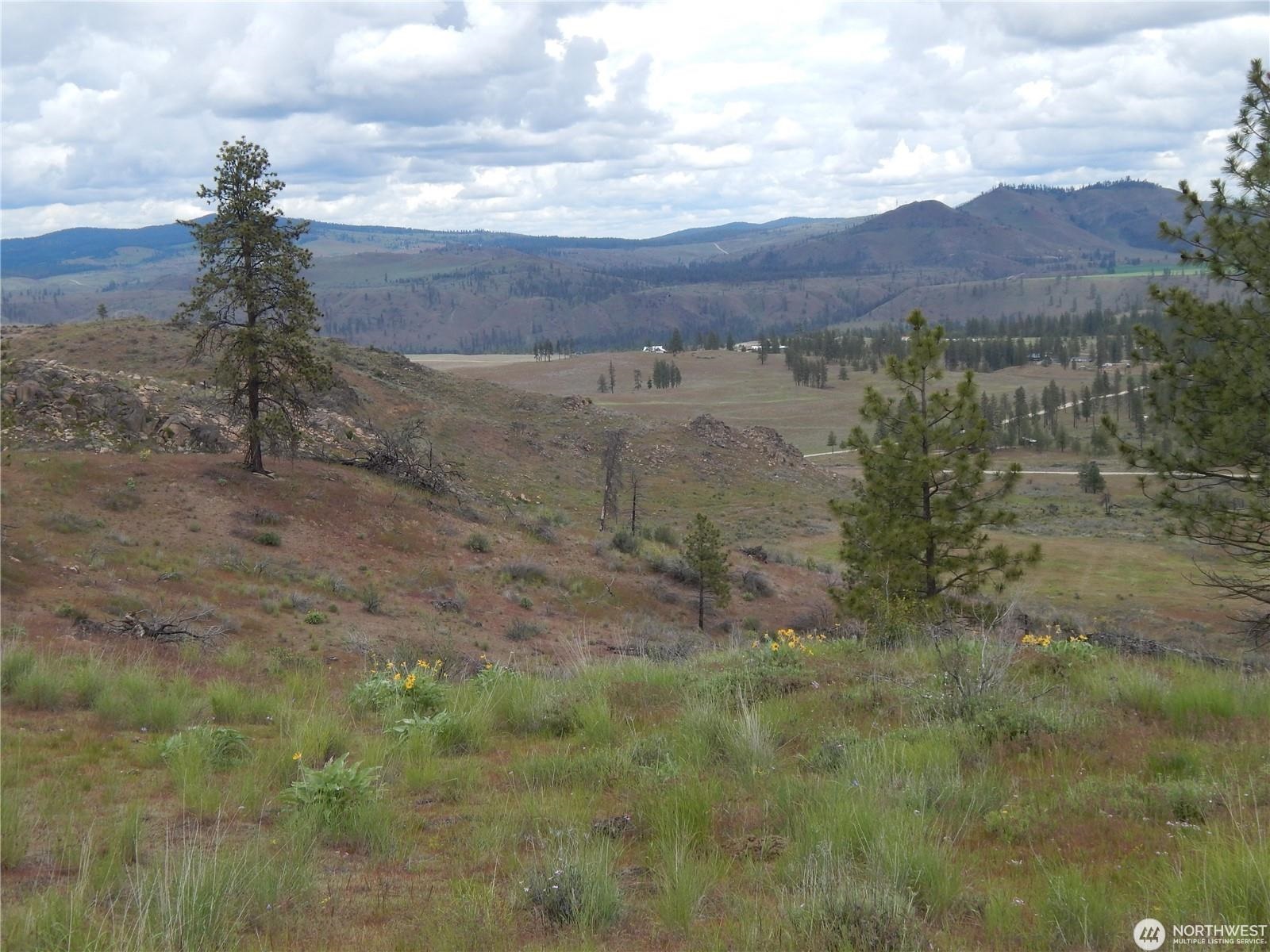 2 Hart Road Davenport, WA 99122 - Photo 5 of 25