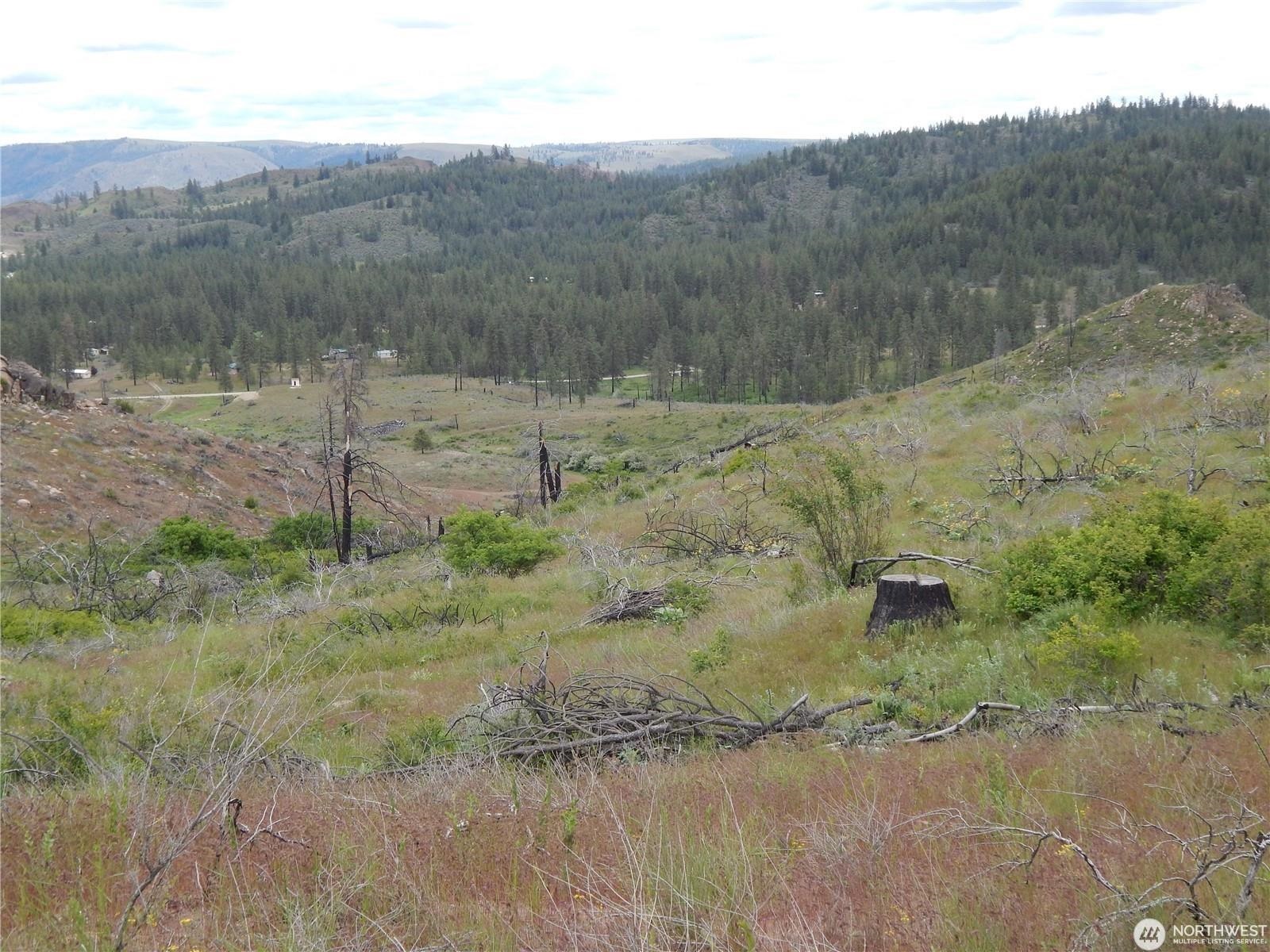 2 Hart Road Davenport, WA 99122 - Photo 6 of 25