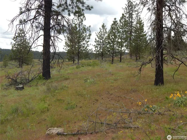 $119,000 | 2 Hart Road, Davenport, WA 99122