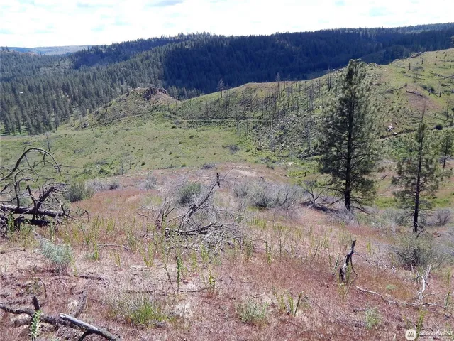 $119,000 | 2 Hart Road, Davenport, WA 99122