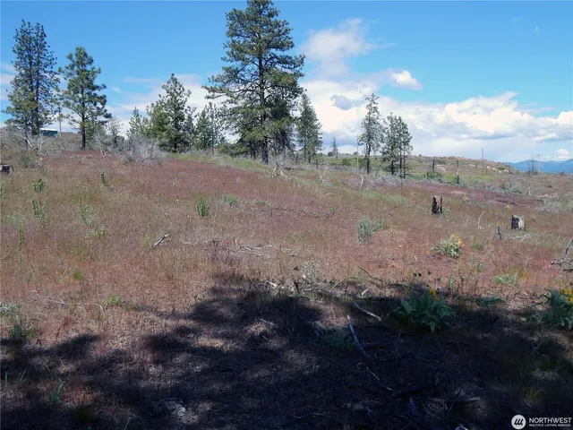 $119,000 | 2 Hart Road, Davenport, WA 99122