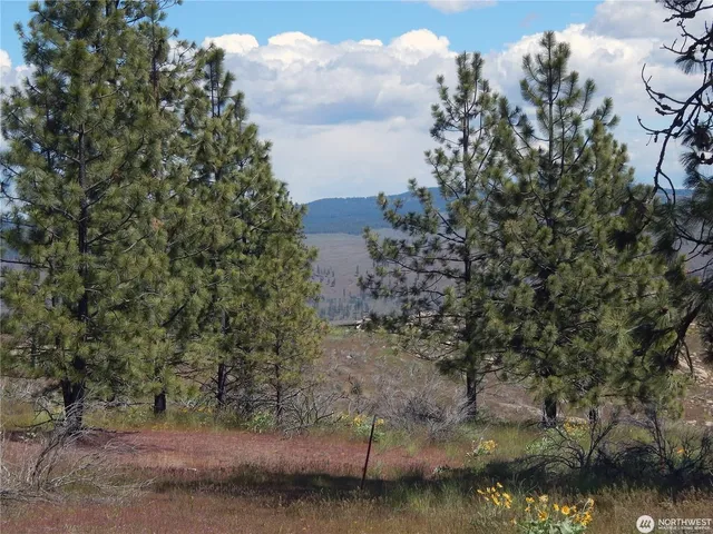 $119,000 | 2 Hart Road, Davenport, WA 99122