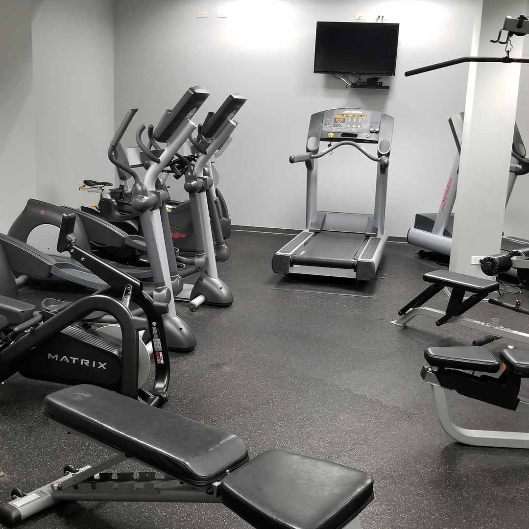1910 South State Street, Unit 301 Chicago, IL 60616 - Photo 11 of 12 a room with gym equipment