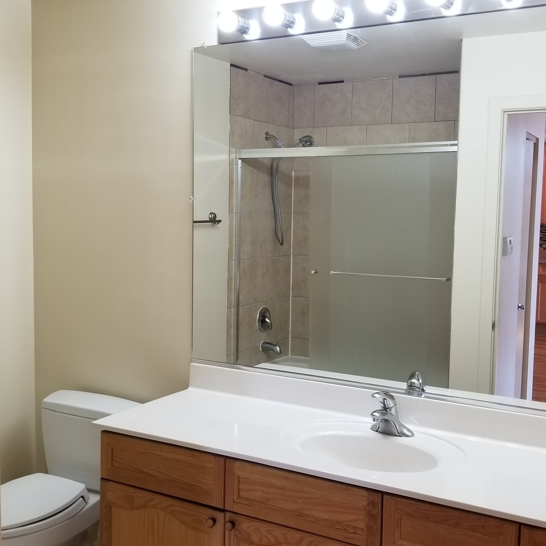 1910 South State Street, Unit 301 Chicago, IL 60616 - Photo 9 of 12 a bathroom with a sink a toilet and shower