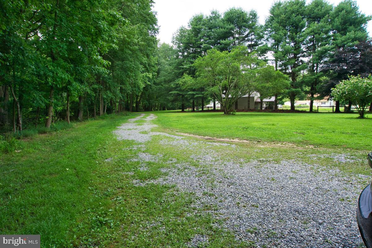 724 Barney Jenkins Road Magnolia, DE 19962 - Photo 14 of 14 Gallery Image 14