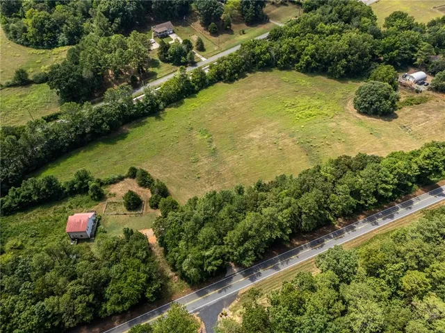 a view of a garden with plants and large trees
