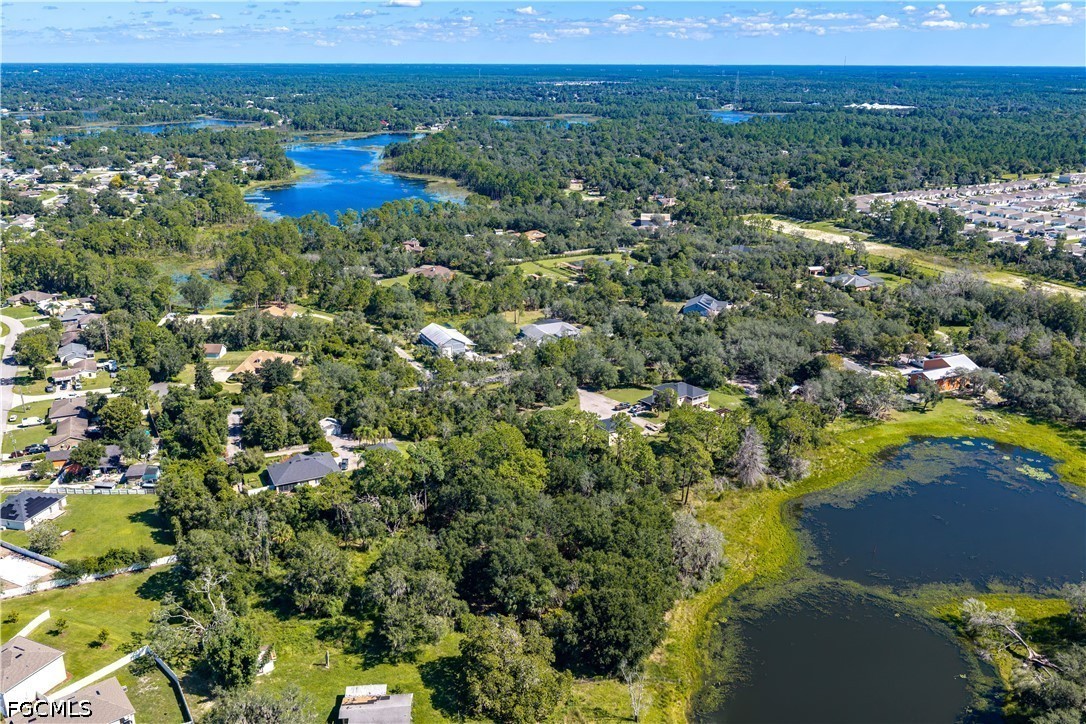 Doyle Rd Road Osteen, FL 32764 - Photo 14 of 33 Gallery Image 14