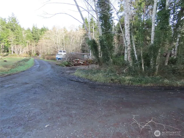 a view of a dry yard with trees