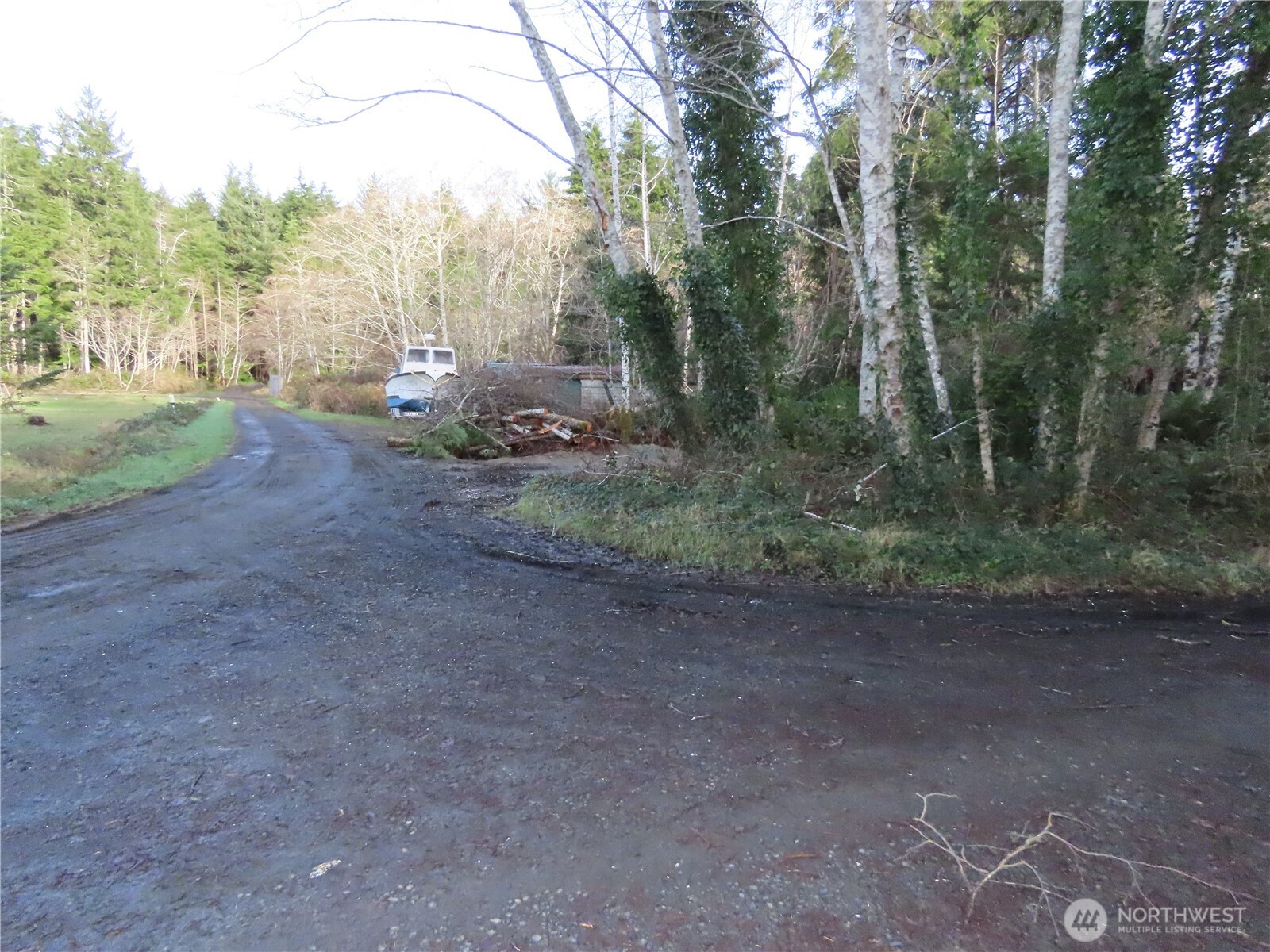 0 Oregon Lane Aberdeen, WA 98520 - Photo 10 of 11 a view of a dry yard with trees
