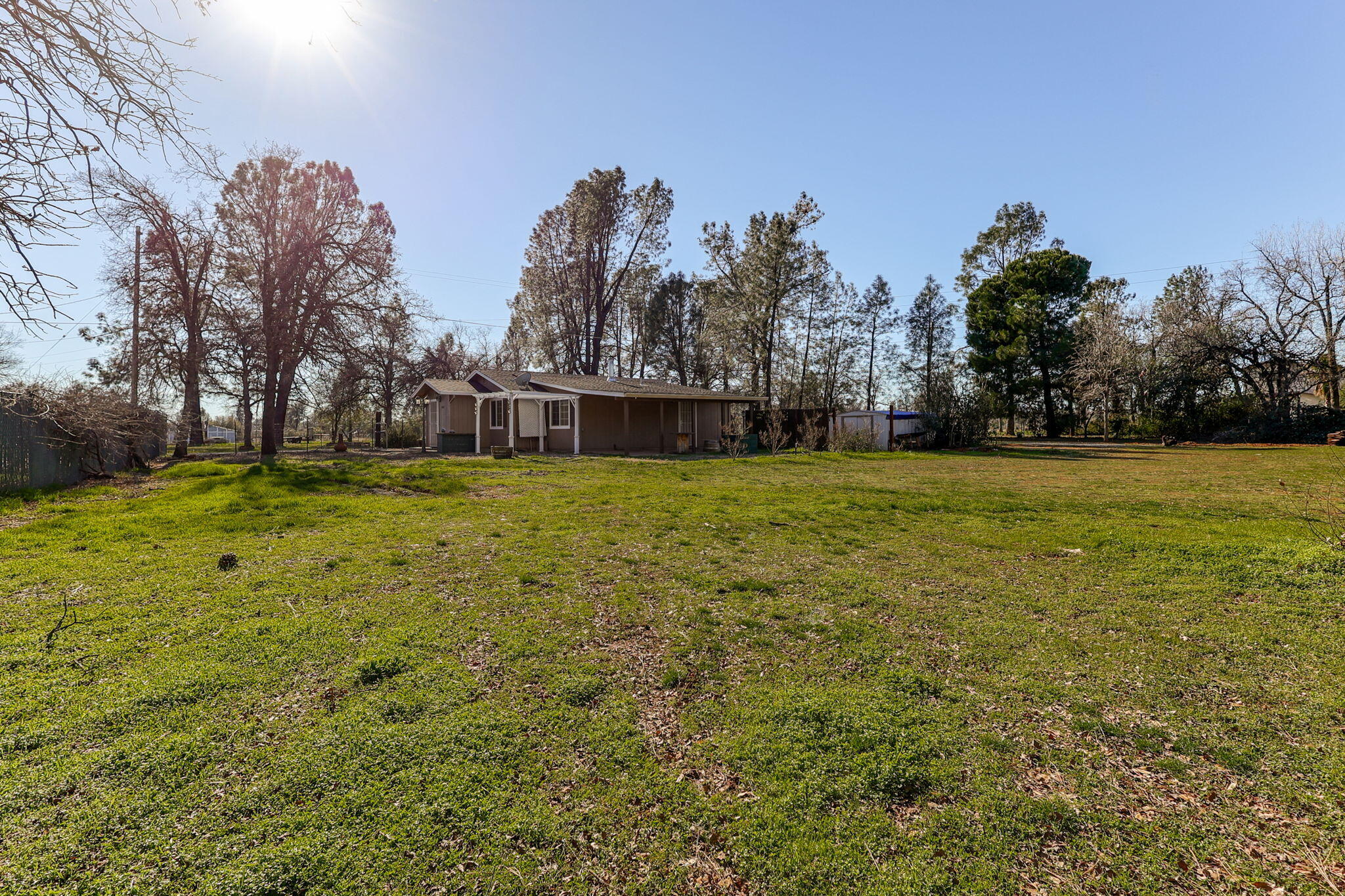 5082 Happy Valley Road Anderson, CA 96007 - Photo 59 of 66 a view of a green field with trees in the background
