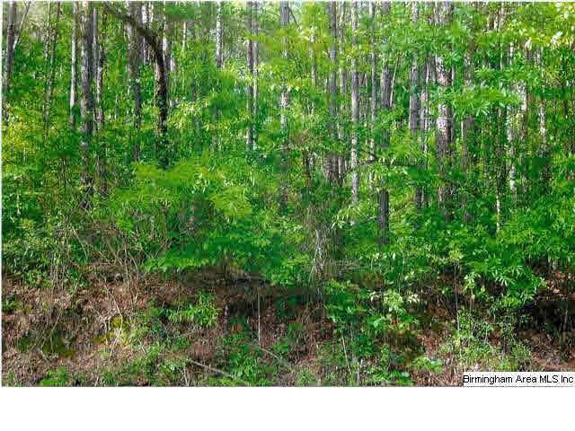Broken Arrow Drive, Unit 15 Ragland, AL 35131 - Photo 1 of 1