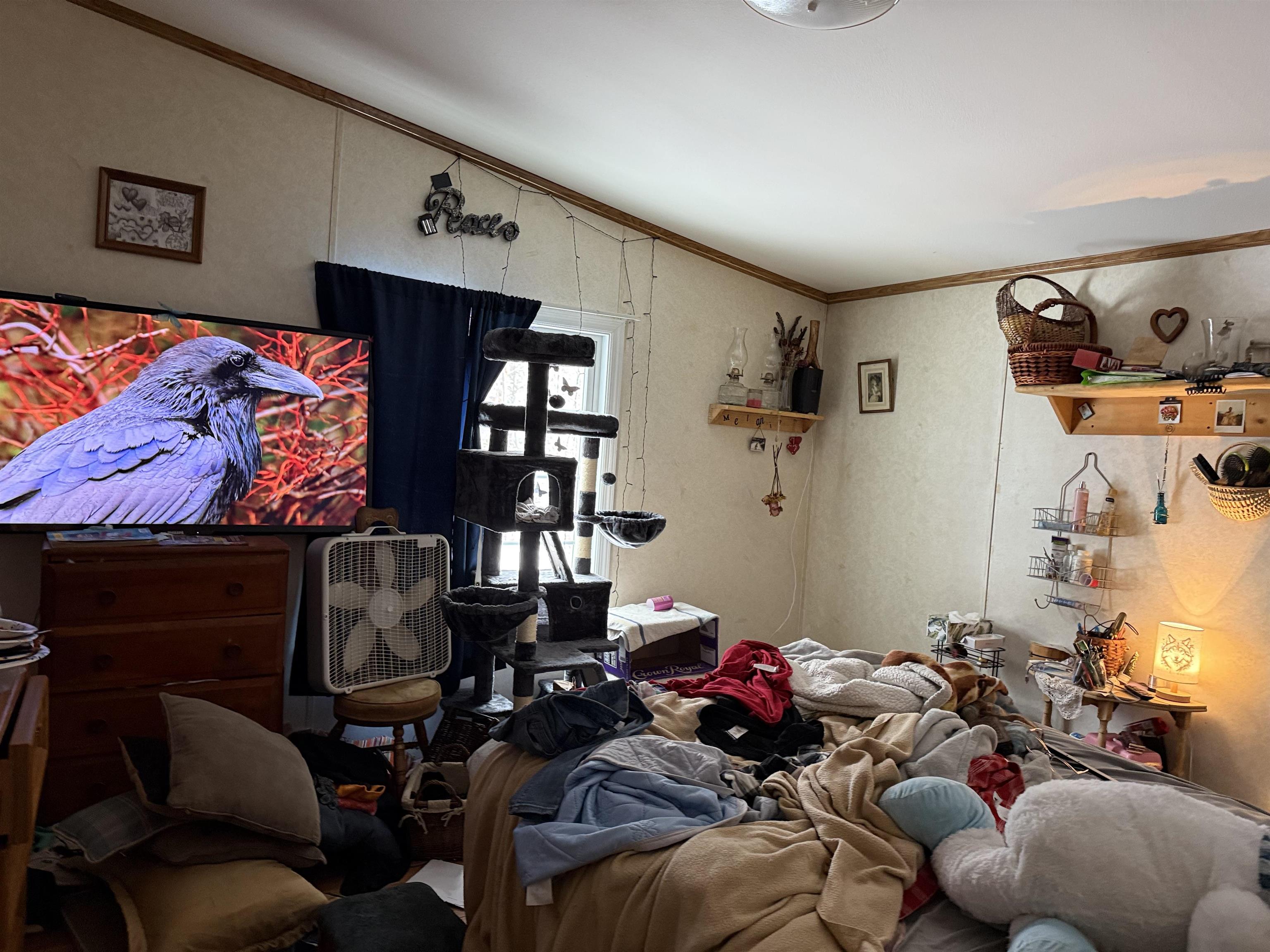 1873 Brook Road Goshen, NH 03752 - Photo 17 of 29