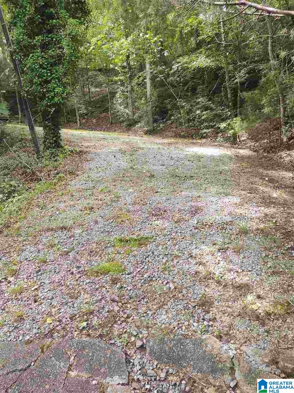 433 Riverview Road Adger, AL 35006 - Photo 42 of 42