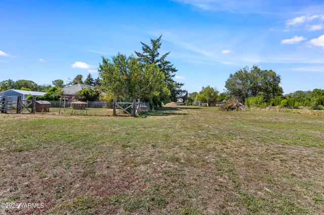 a view of a yard with a tree