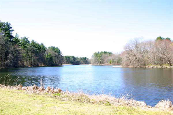 150 Wayside Inn Road Sudbury, MA 01776 - Photo 6 of 6 Gallery Image 6