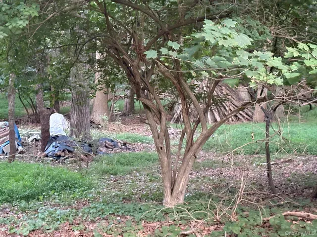 a view of a trees in front of a house