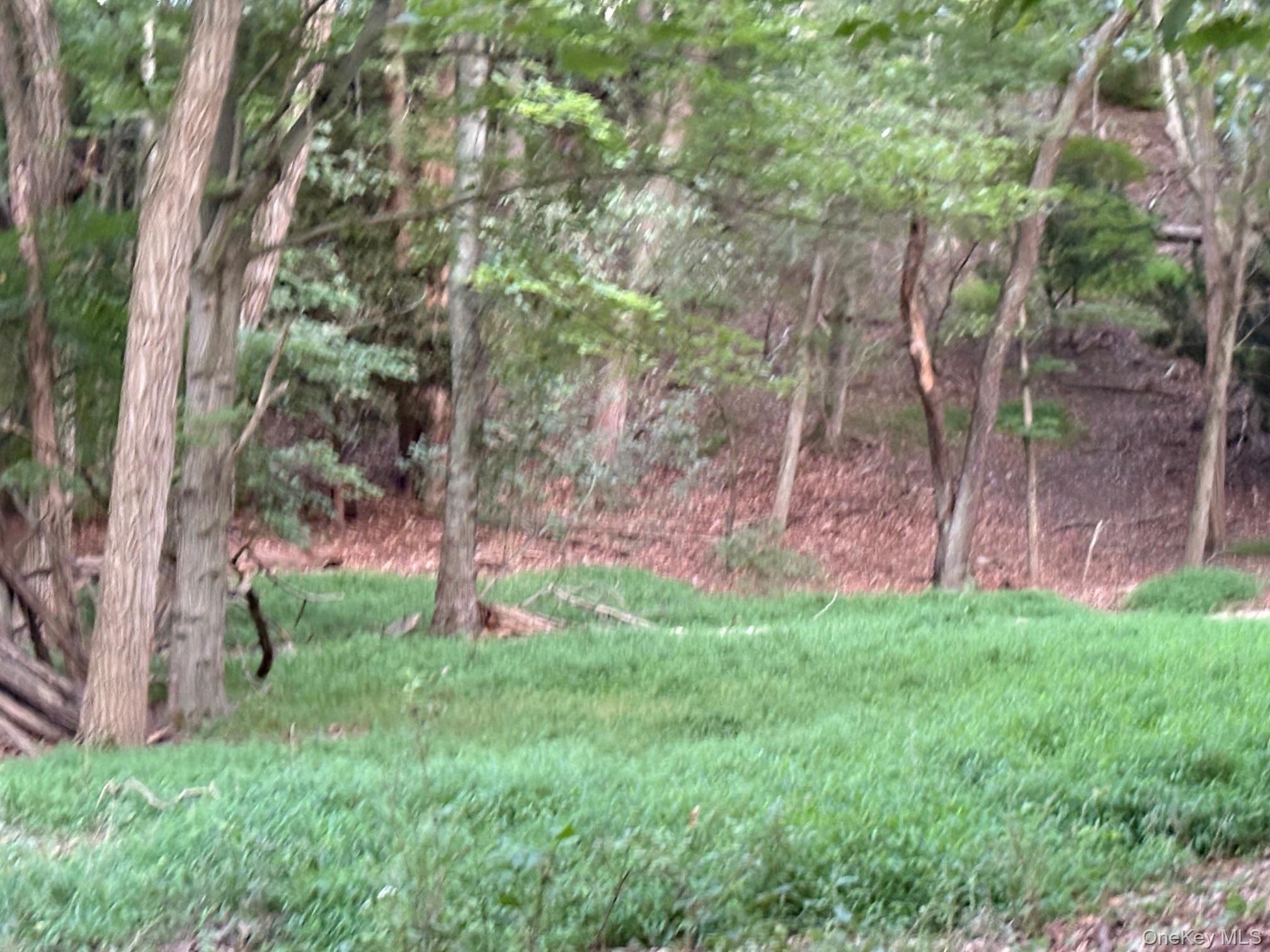 Dark Hollow Road Port Jefferson, NY 11777 - Photo 4 of 6 a backyard of a house with lots of green space