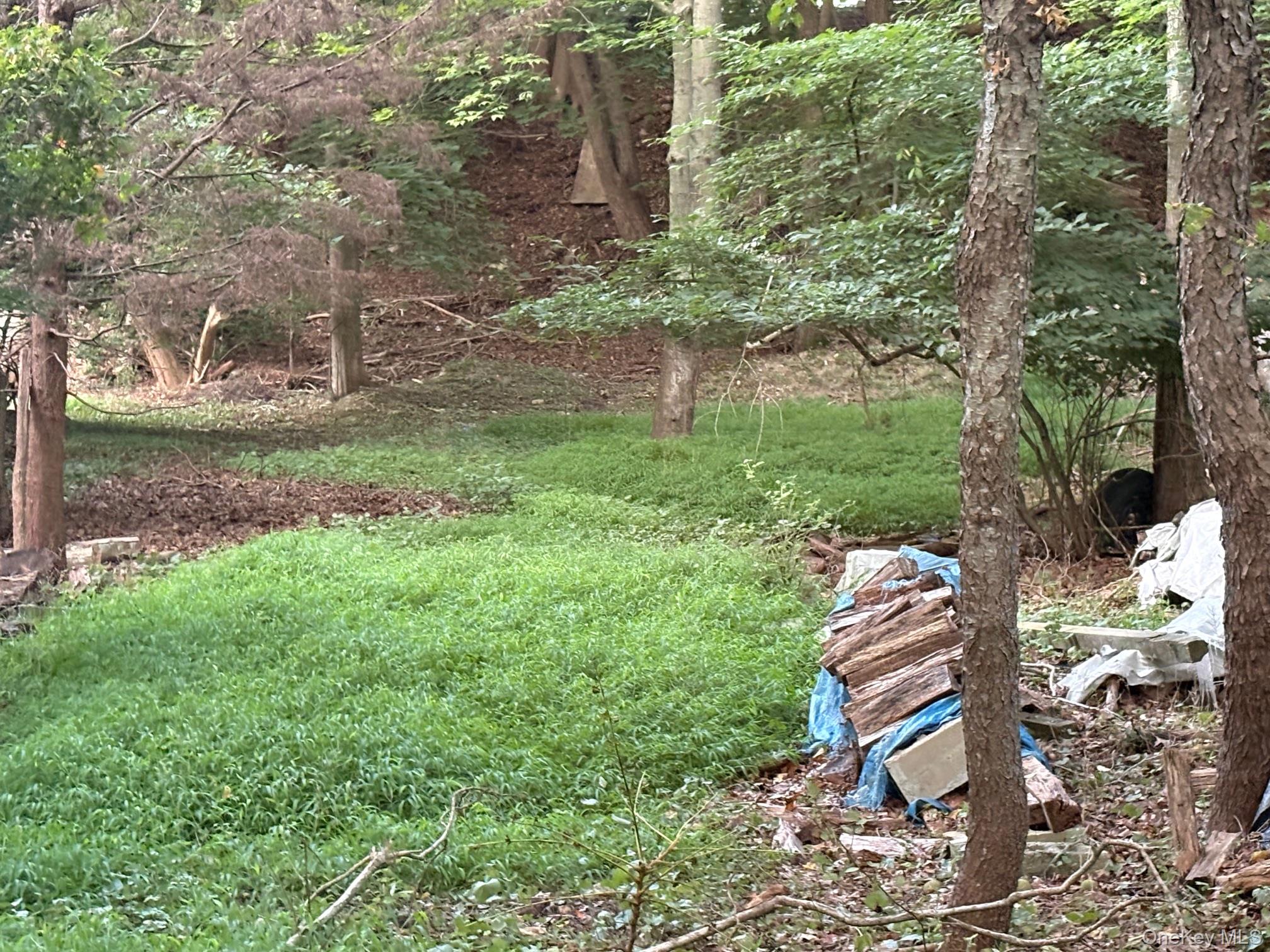 Dark Hollow Road Port Jefferson, NY 11777 - Photo 5 of 6 a view of a backyard with plants and a patio