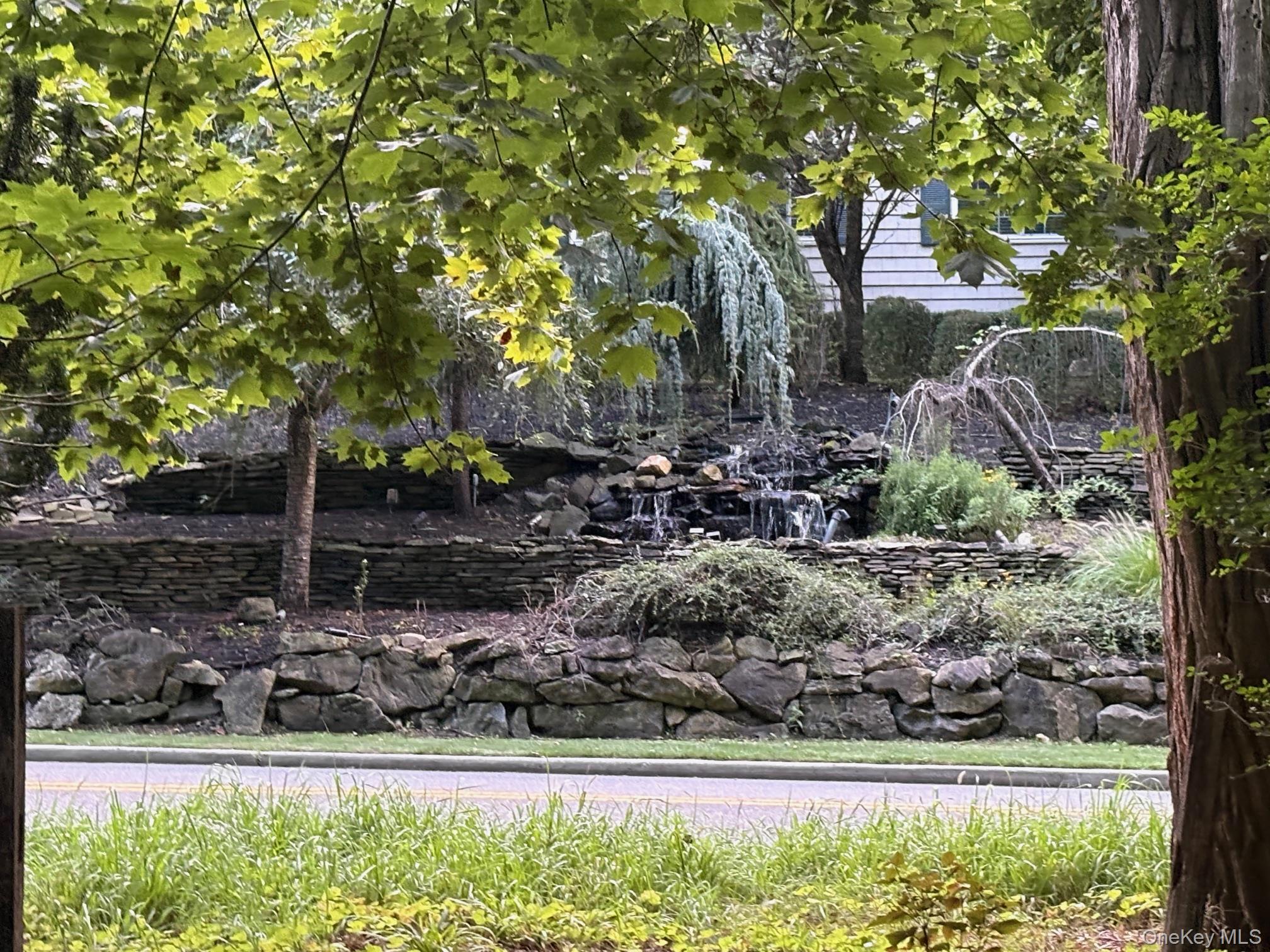 Dark Hollow Road Port Jefferson, NY 11777 - Photo 6 of 6 a view of a yard with a tree