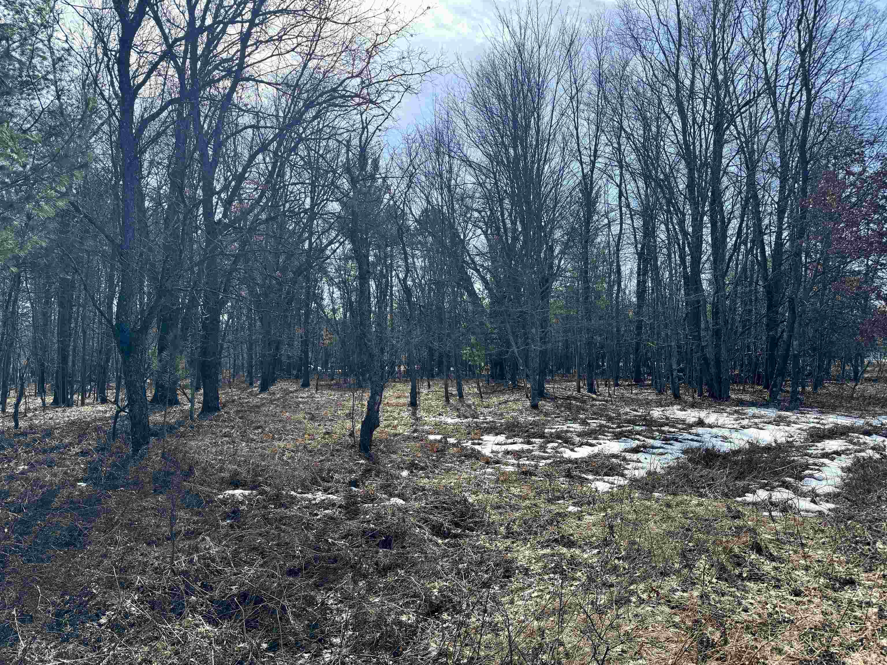 Parcel C West Rosted Road Lake City, MI 49651 - Photo 8 of 20