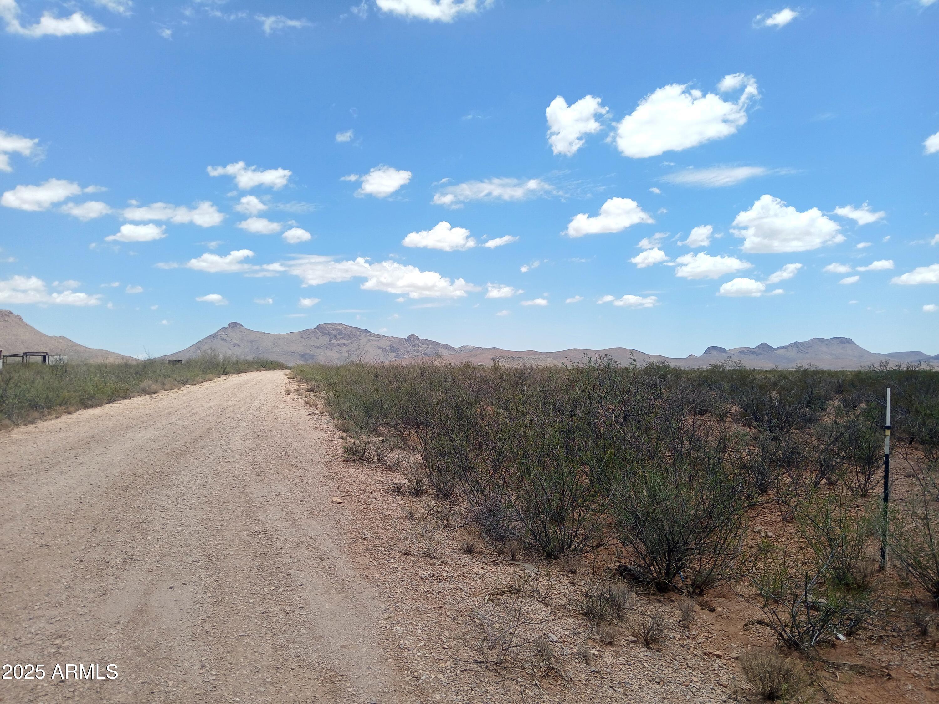 3283 C. Los Vientos Douglas, AZ 85607 - Photo 18 of 20 a view of a bunch of trees in a field