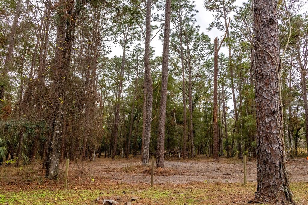 24091 Richbarn Road Brooksville, FL 34601 - Photo 13 of 43
