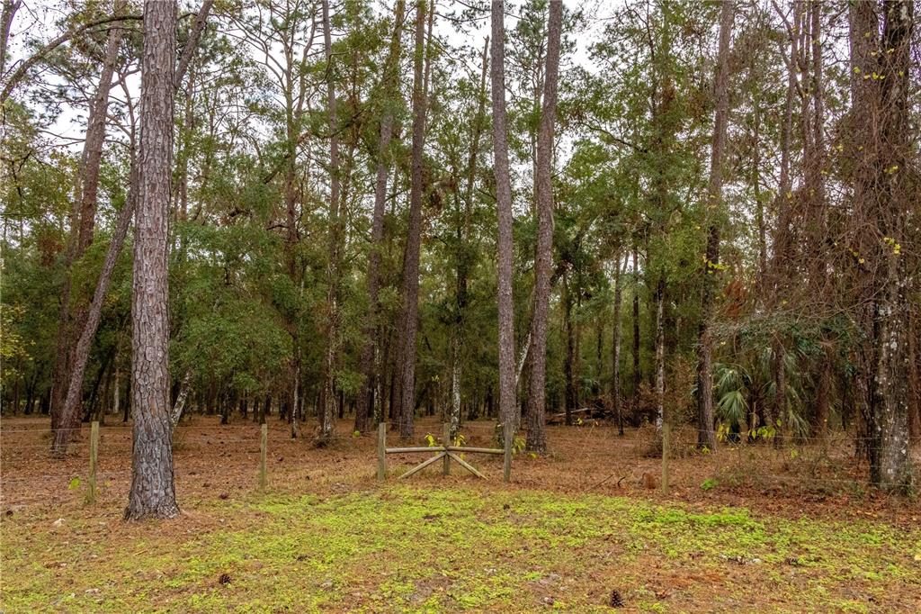 24091 Richbarn Road Brooksville, FL 34601 - Photo 15 of 43