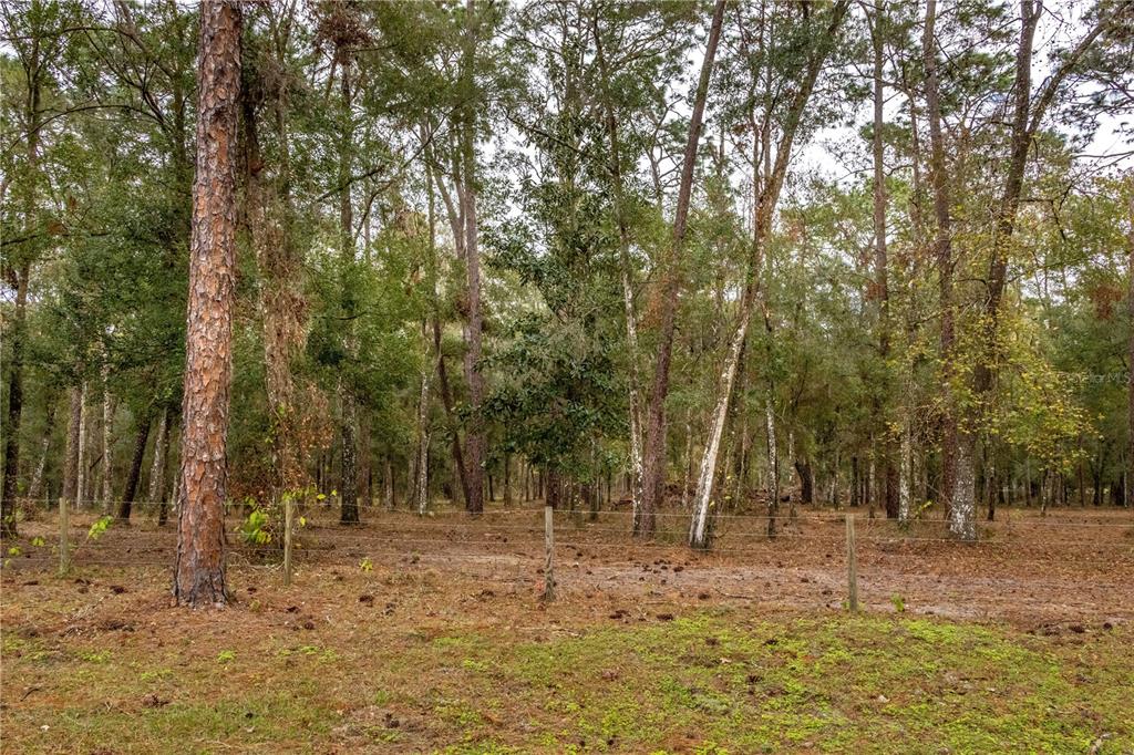 24091 Richbarn Road Brooksville, FL 34601 - Photo 17 of 43