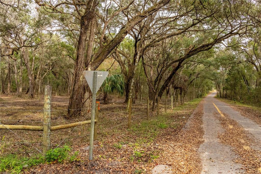 24091 Richbarn Road Brooksville, FL 34601 - Photo 24 of 43