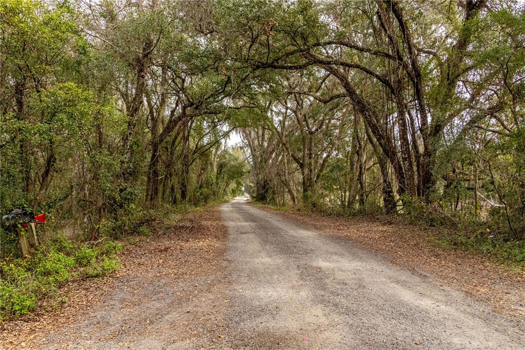 24091 Richbarn Road Brooksville, FL 34601 - Photo 28 of 43