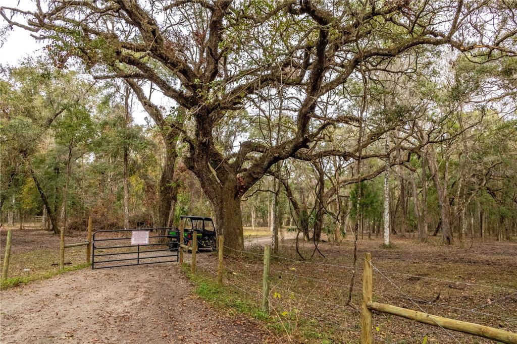 24091 Richbarn Road Brooksville, FL 34601 - Photo 32 of 43
