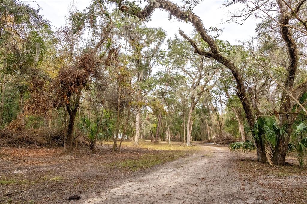 24091 Richbarn Road Brooksville, FL 34601 - Photo 33 of 43