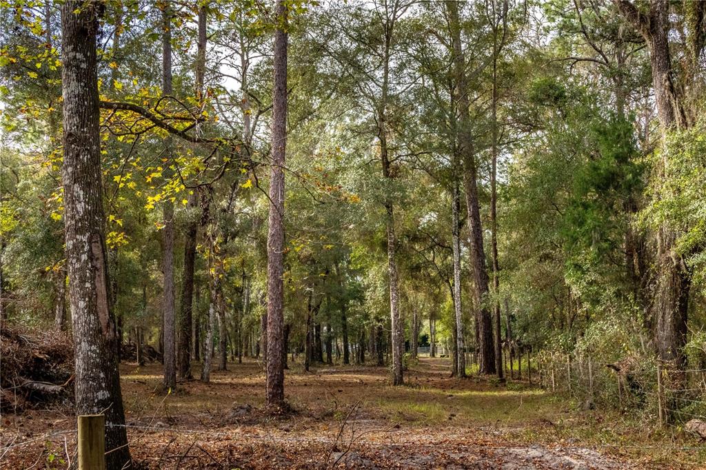 24091 Richbarn Road Brooksville, FL 34601 - Photo 34 of 43