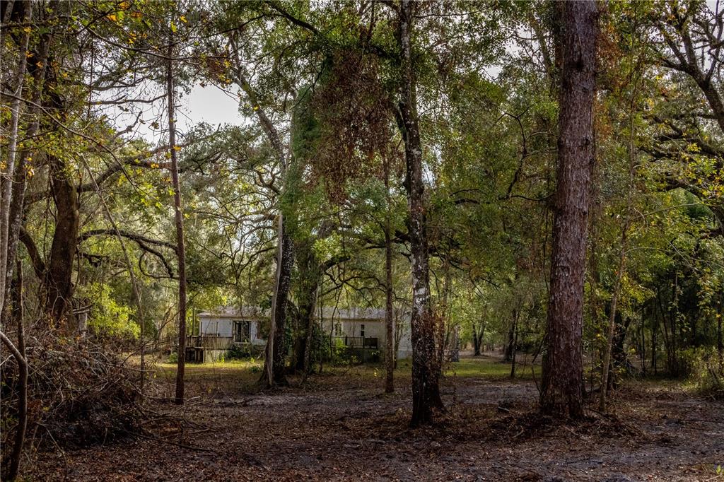 24091 Richbarn Road Brooksville, FL 34601 - Photo 35 of 43