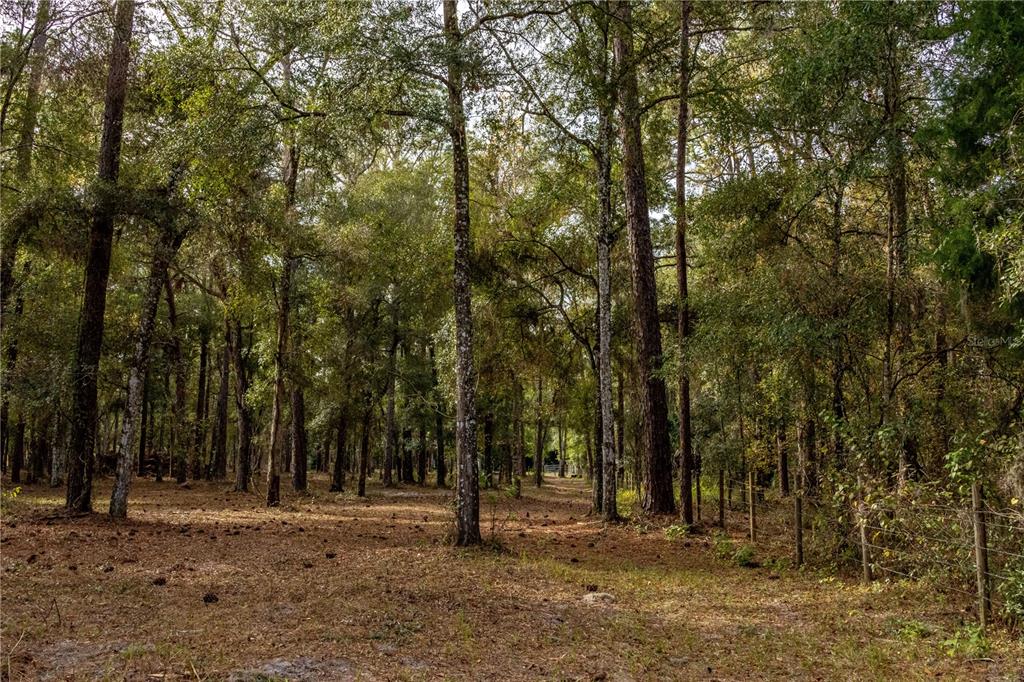 24091 Richbarn Road Brooksville, FL 34601 - Photo 36 of 43