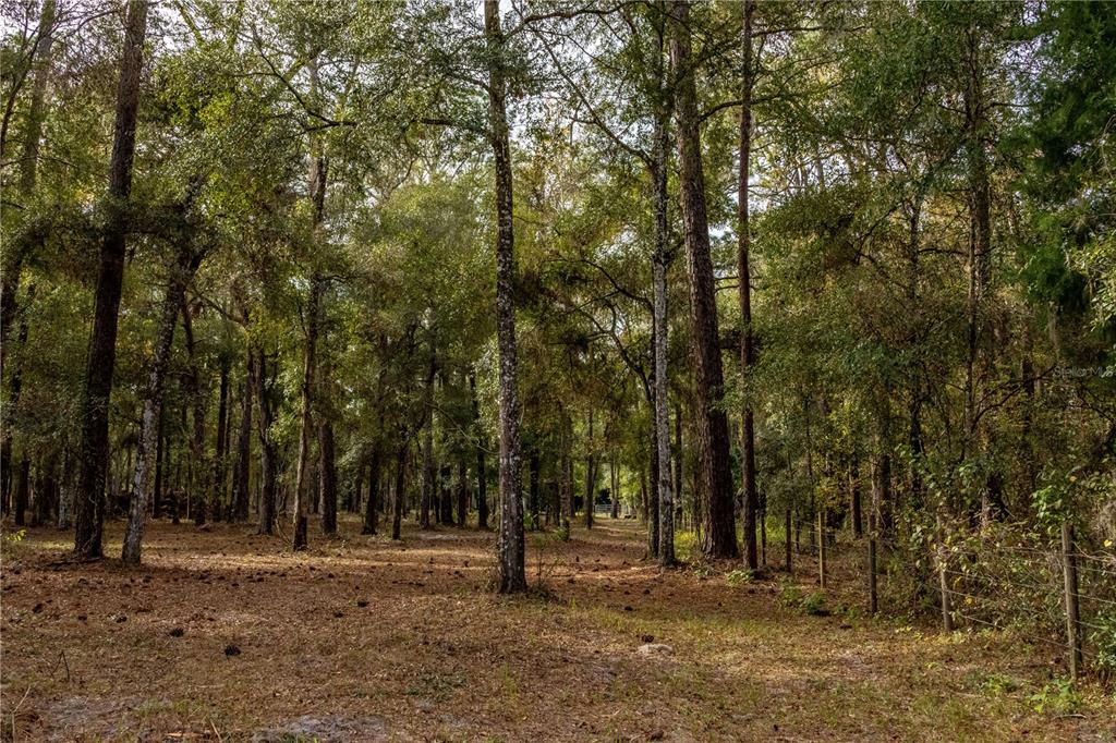 24091 Richbarn Road Brooksville, FL 34601 - Photo 37 of 43