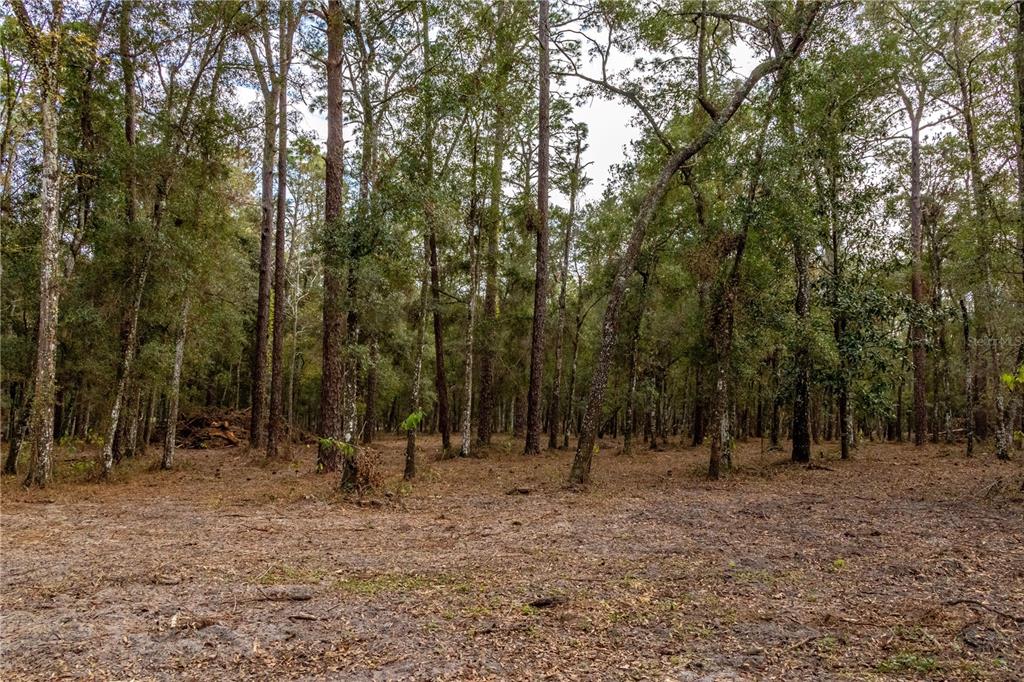 24091 Richbarn Road Brooksville, FL 34601 - Photo 39 of 43