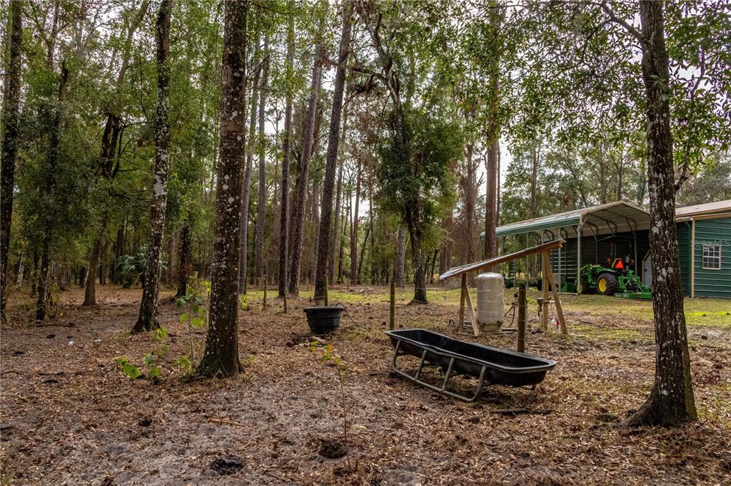 24091 Richbarn Road Brooksville, FL 34601 - Photo 40 of 43