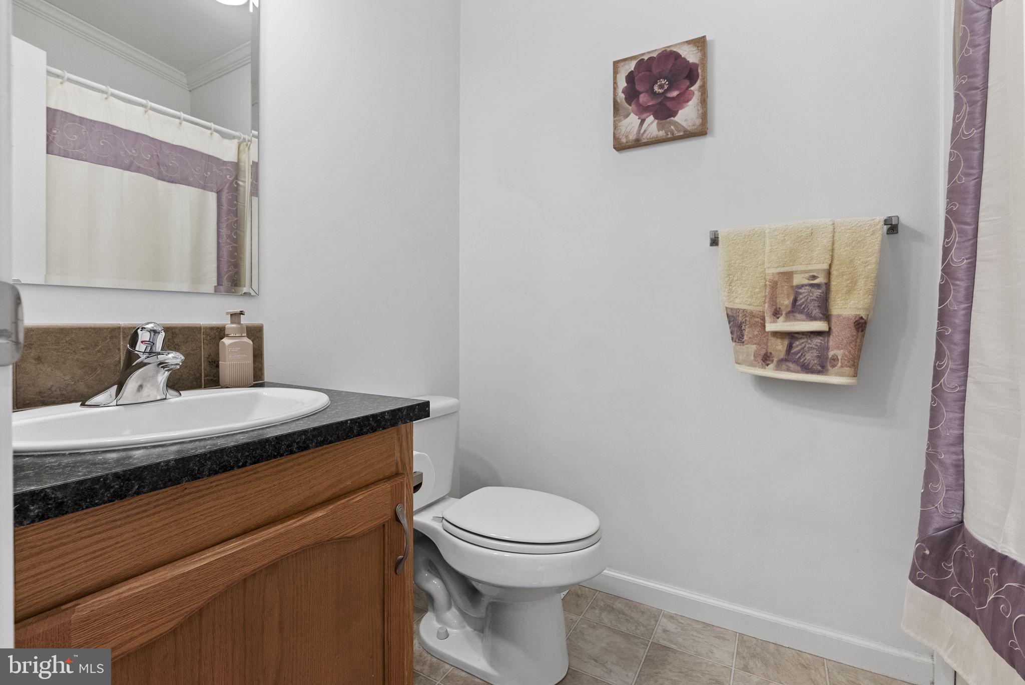 86 Westin Road Douglassville, PA 19518 - Photo 32 of 42 2nd Hallway Bathroom