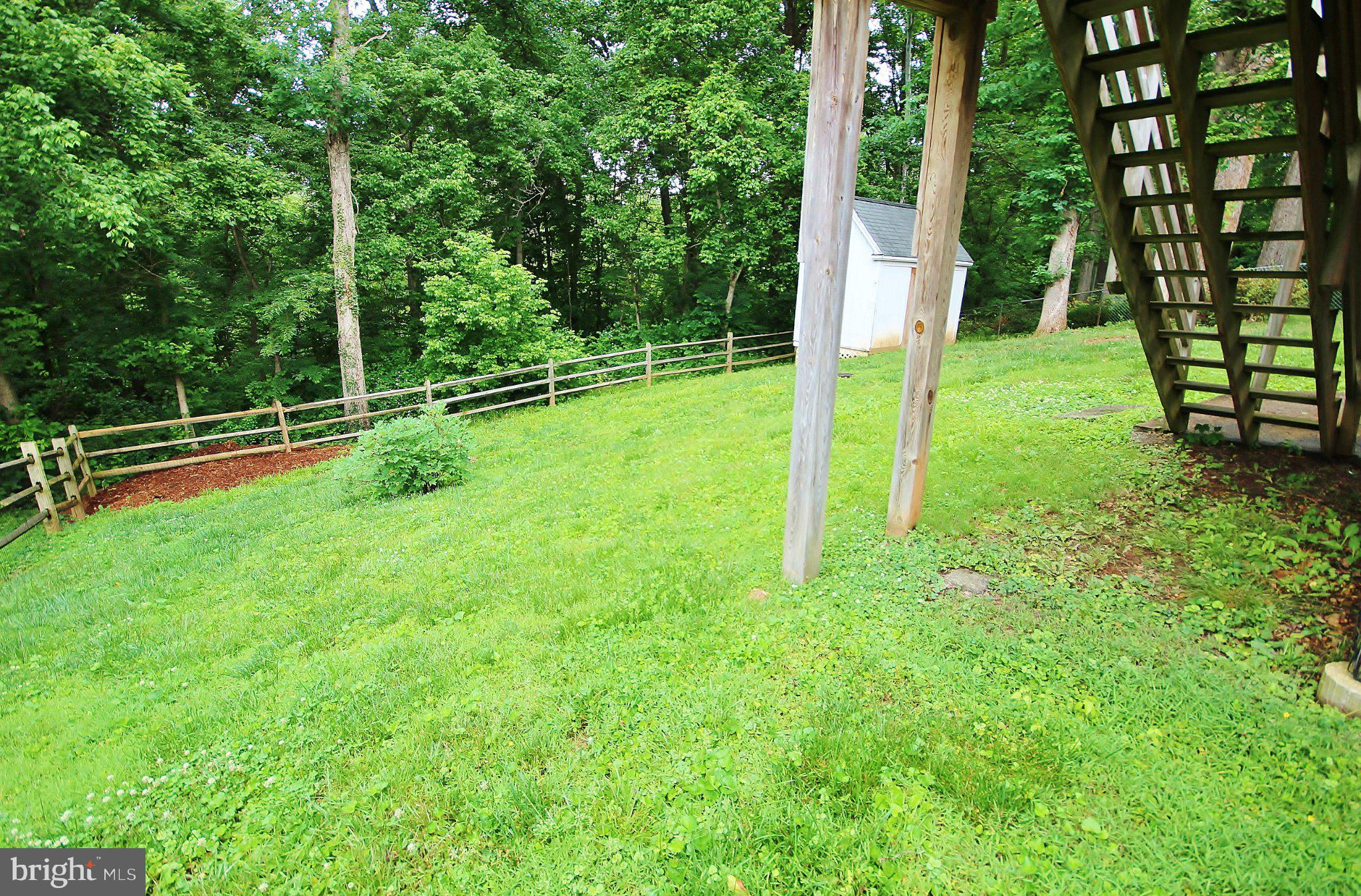 5504 Inverchapel Road Springfield, VA 22151 - Photo 46 of 51 Lush green yard with rustic charm.