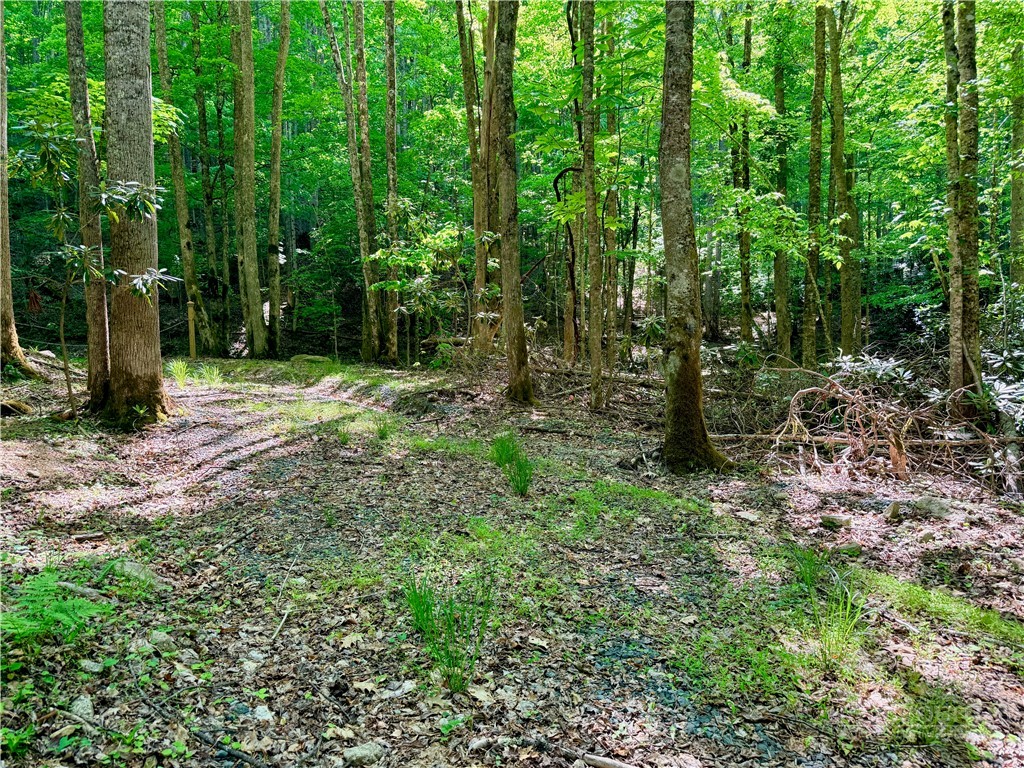 Lot 5 Buckeye Ridge Road Beech Mountain, NC 28604 - Photo 8 of 12