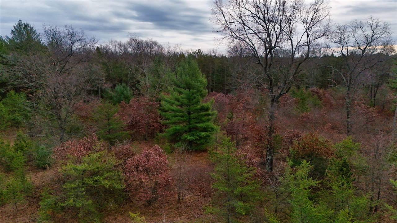 3728 North Custer Road Fountain, MI 49410 - Photo 19 of 31