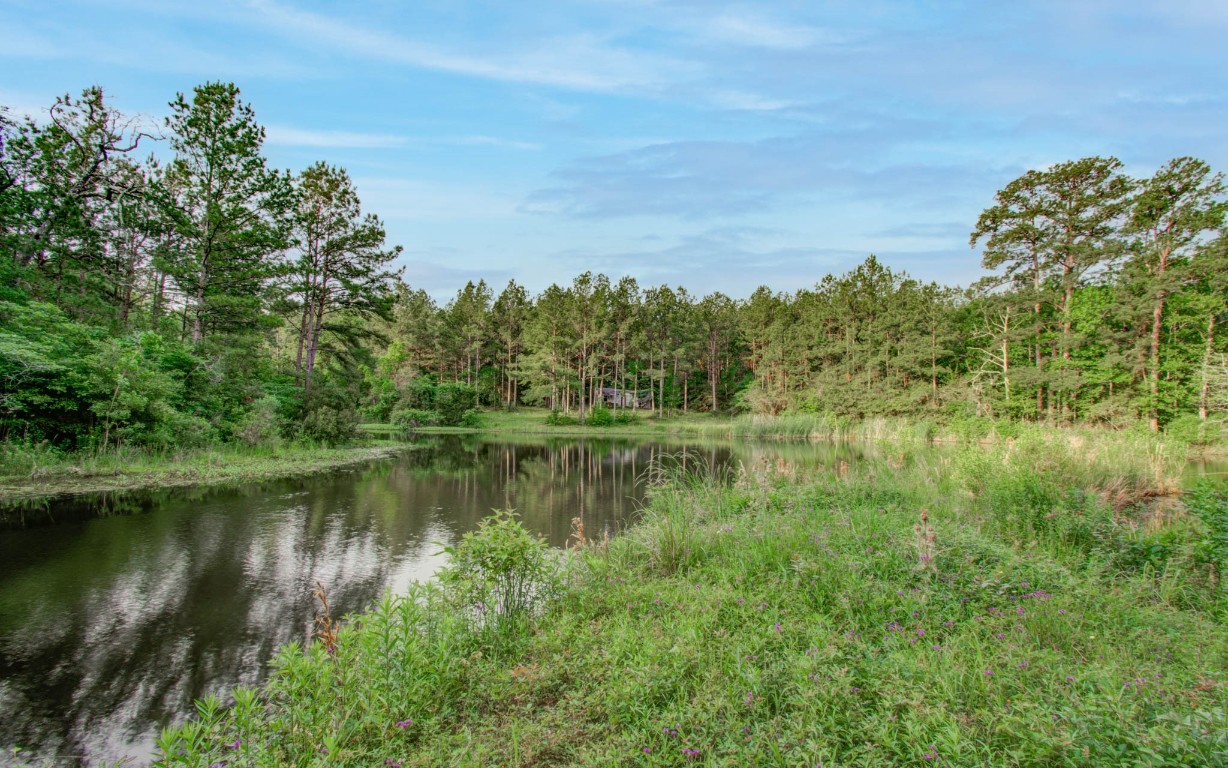 a view of a lake view with a garden