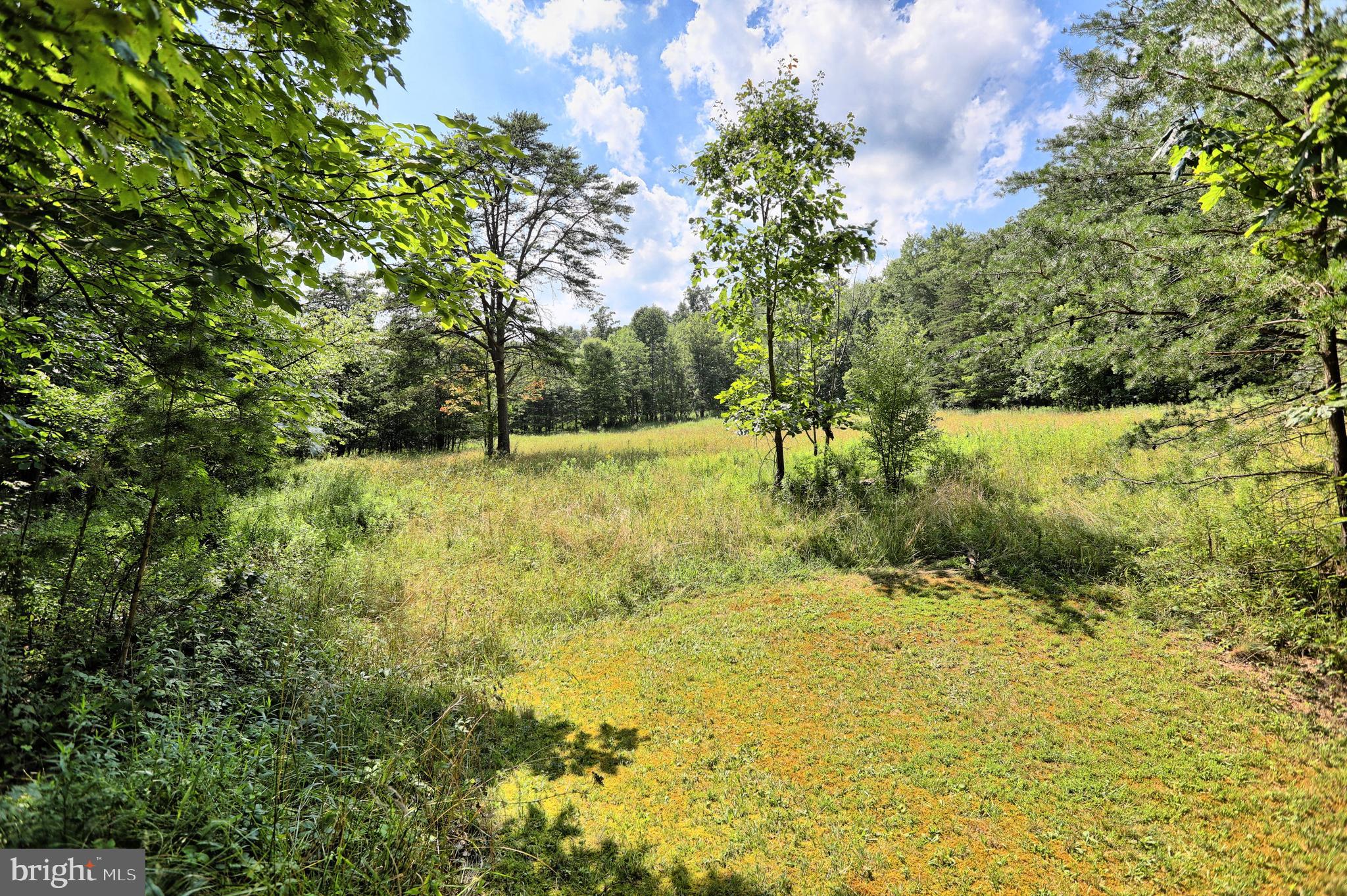 1800 Timber Road Newport, PA 17074 - Photo 76 of 105 Gallery Image 76