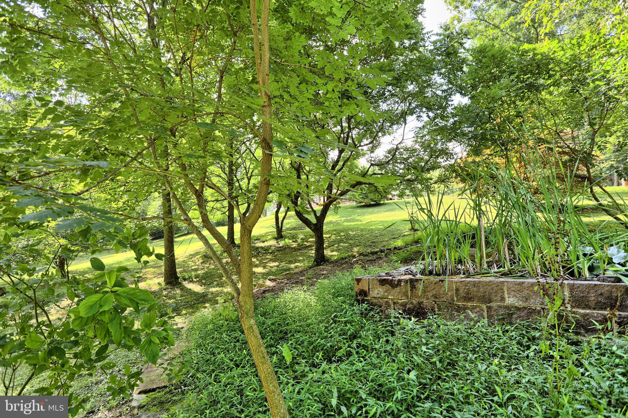 1800 Timber Road Newport, PA 17074 - Photo 82 of 105 Gallery Image 82
